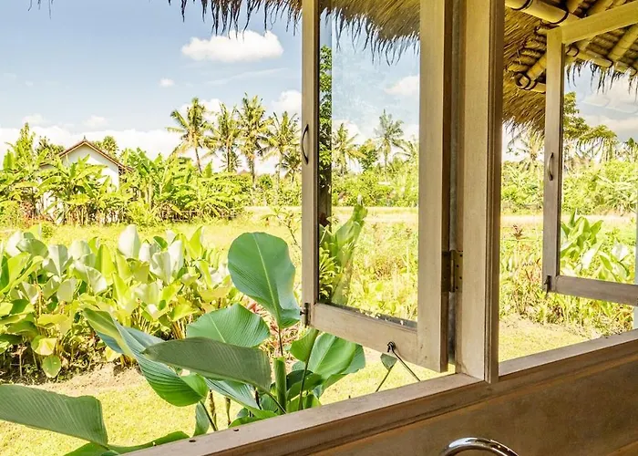 Anika Ubud (Bali)